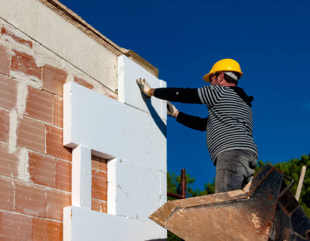 Best Commercial Insulation Contractor  in Palmhurst, TX
