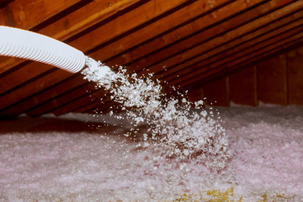 Best Attic Insulation Installation  in Palmhurst, TX
