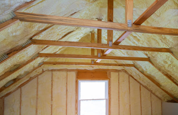 Best Home Insulation Services  in Palmhurst, TX