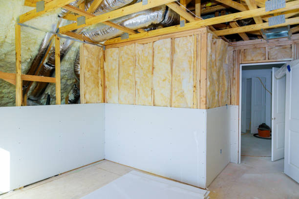 Best Affordable Insulation Services  in Palmhurst, TX