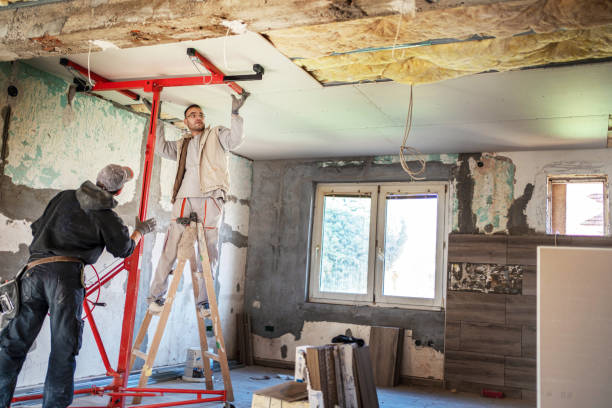 Best Best Insulation Companies  in Palmhurst, TX