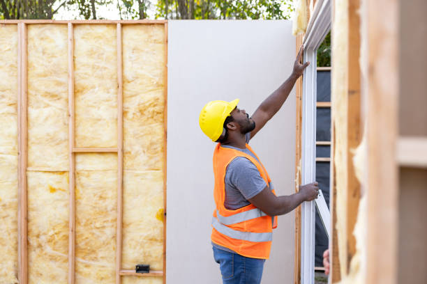 Best Attic Insulation Installation  in Palmhurst, TX