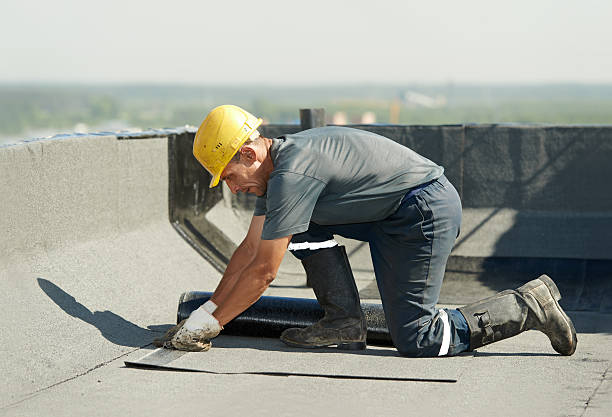 Best Professional Insulation Contractor  in Palmhurst, TX