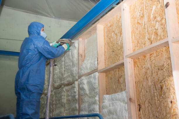 Best Spray Foam Insulation  in Palmhurst, TX