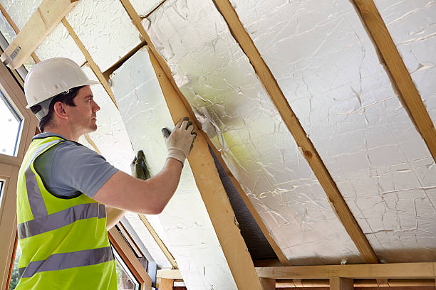 Best Attic Insulation Installation  in Palmhurst, TX