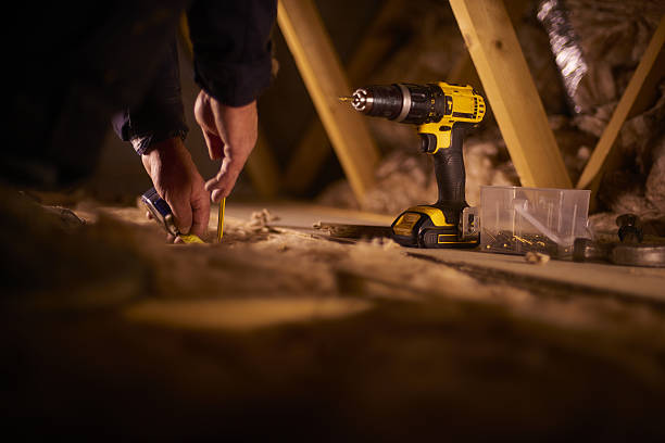 Best Insulation Inspection Services  in Palmhurst, TX