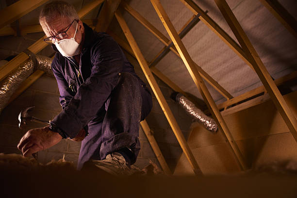 Insulation Inspection Services in Palmhurst, TX