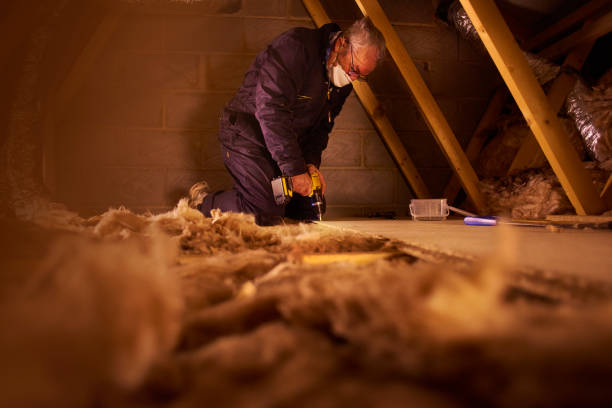 Best Insulation Contractor Near Me  in Palmhurst, TX